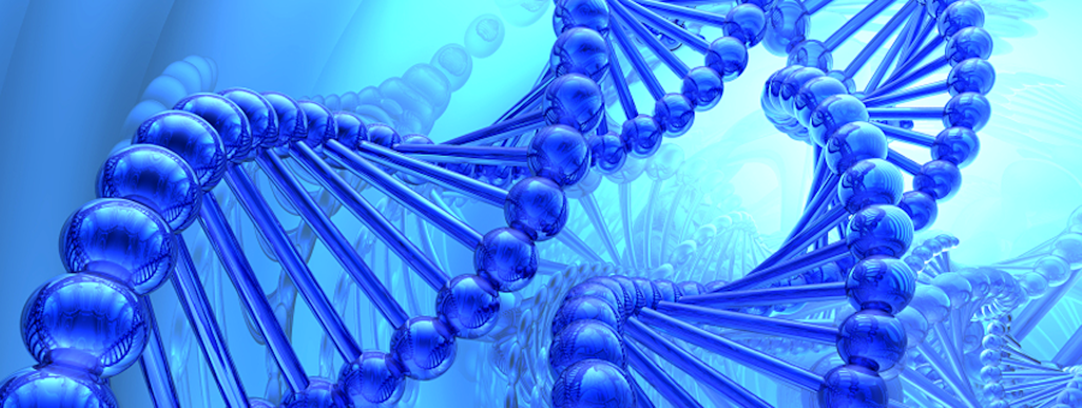 dnh-research-slider-2